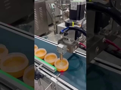 Automatische Maschine zur Befüllung von Make-up-Basen SUS304 Getriebepumpe