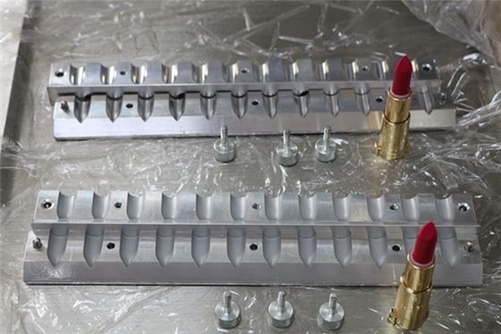 Matte Frosted Vögel Schnabel Custom Lippenstift Schimmel 12 Löcher ISO