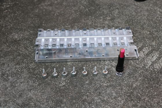 12 Löcher Schimmel auf Lippenbalsam Doppelfarbige Schrägfläche Mit Custom Logo